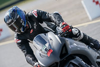 Advanced Group Silver_Grey Bikes